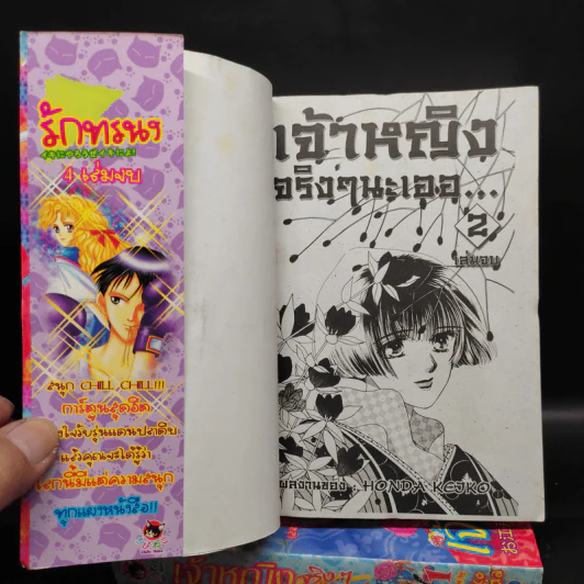 เจ้าหญิงจริงๆนะเออ! 2 เล่มจบ รูปที่ 6