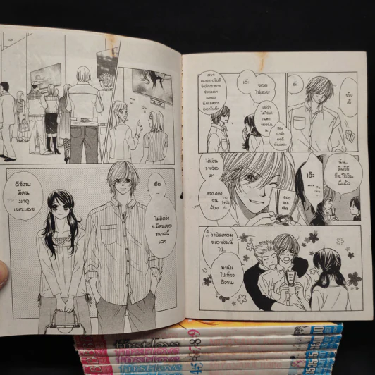 First Love 10 เล่มจบ - Miyasaka Kaho รูปที่ 6