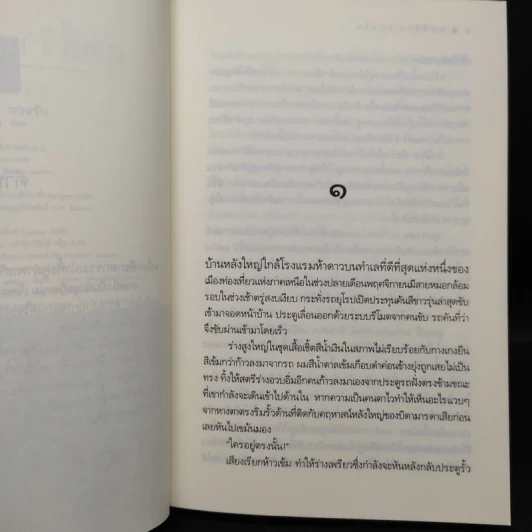 ฤทธิ์ร้ายหวงรัก - มณีจันท์ รูปที่ 6