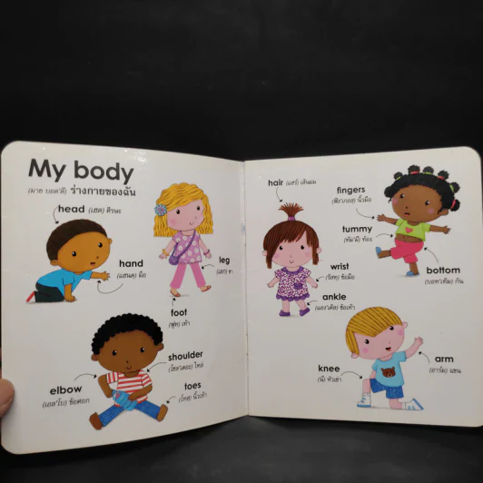 My Body ร่างกายของฉัน ชุดหนังสือคำศัพท์ภาษาอังกฤษเล่มแรกสำหรับเด็กเล็ก รูปที่ 5