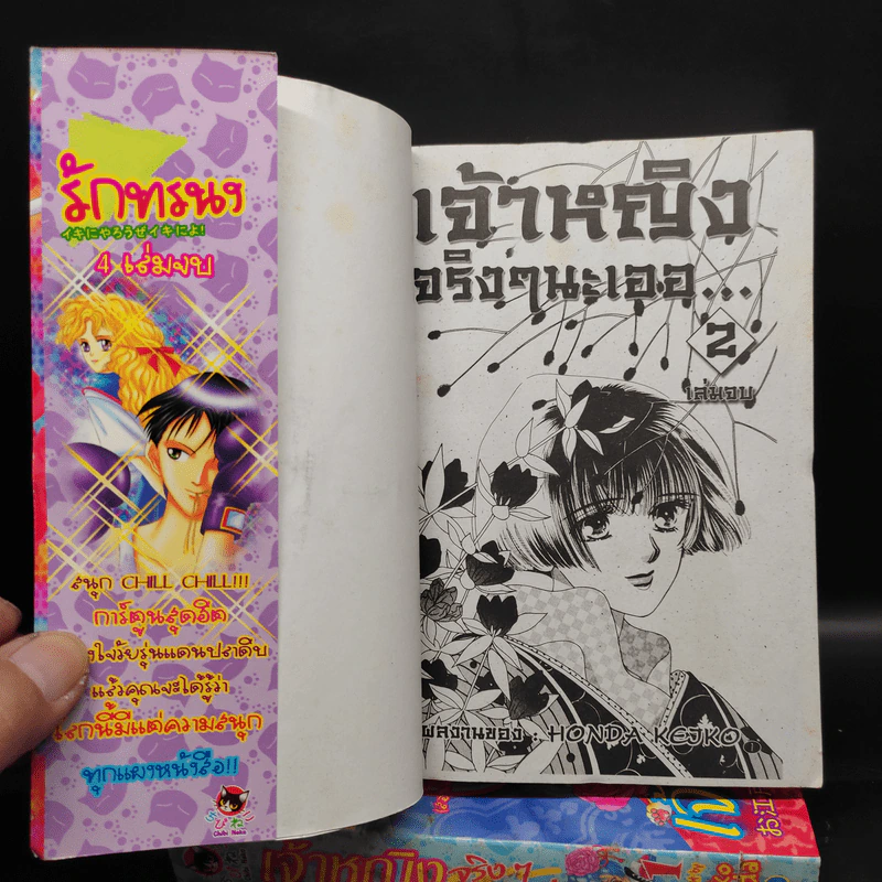 เจ้าหญิงจริงๆนะเออ! 2 เล่มจบ รูปที่ 6