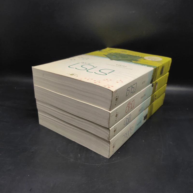 Boxset นิยายชุด บ้านไร่ปลายฝัน 4 เล่ม ได้แก่ ธาราหิมาลัย, ดวงใจอัคนี, ปฐพีเล่ห์รัก, วายุภัคมนตรา รูปที่ 8