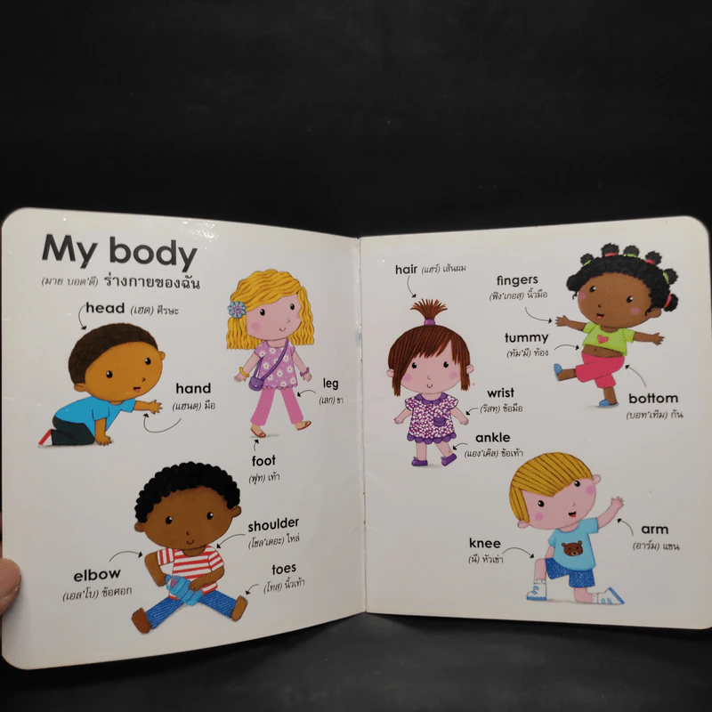 My Body ร่างกายของฉัน ชุดหนังสือคำศัพท์ภาษาอังกฤษเล่มแรกสำหรับเด็กเล็ก รูปที่ 5