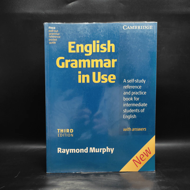 English Grammar in Use - Raymond Murphy รูปที่ 1