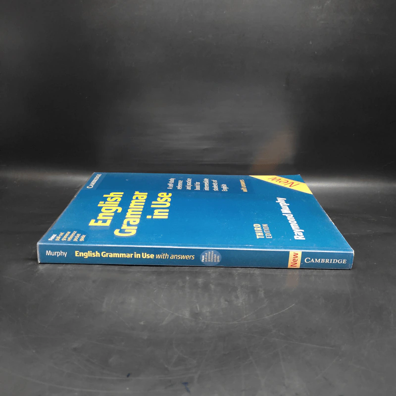 English Grammar in Use - Raymond Murphy รูปที่ 3