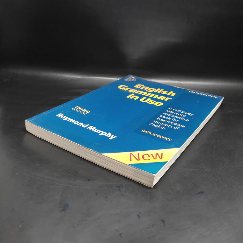 English Grammar in Use - Raymond Murphy รูปที่ 4