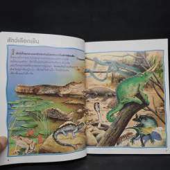 100 เรื่องน่ารู้เกี่ยวกับสัตว์เลื้อยคลานและสัตว์สะเทินน้ำสะเทินบก รูปที่ 6
