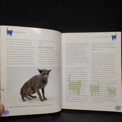 The Cat Care Handbook - Clare Gibson รูปที่ 7