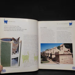 The Cat Care Handbook - Clare Gibson รูปที่ 6