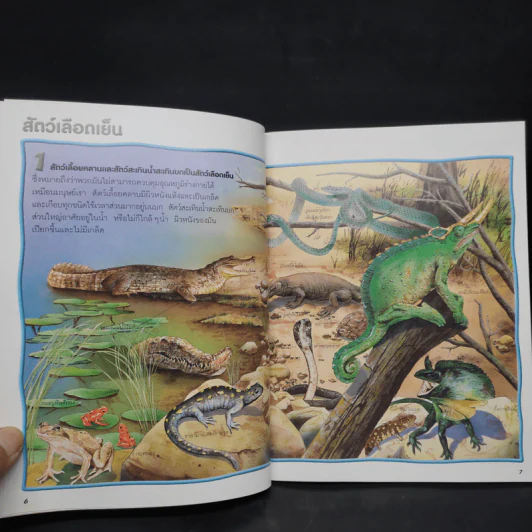 100 เรื่องน่ารู้เกี่ยวกับสัตว์เลื้อยคลานและสัตว์สะเทินน้ำสะเทินบก รูปที่ 6
