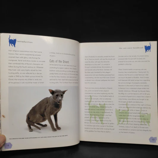 The Cat Care Handbook - Clare Gibson รูปที่ 7