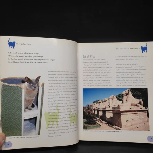 The Cat Care Handbook - Clare Gibson รูปที่ 6