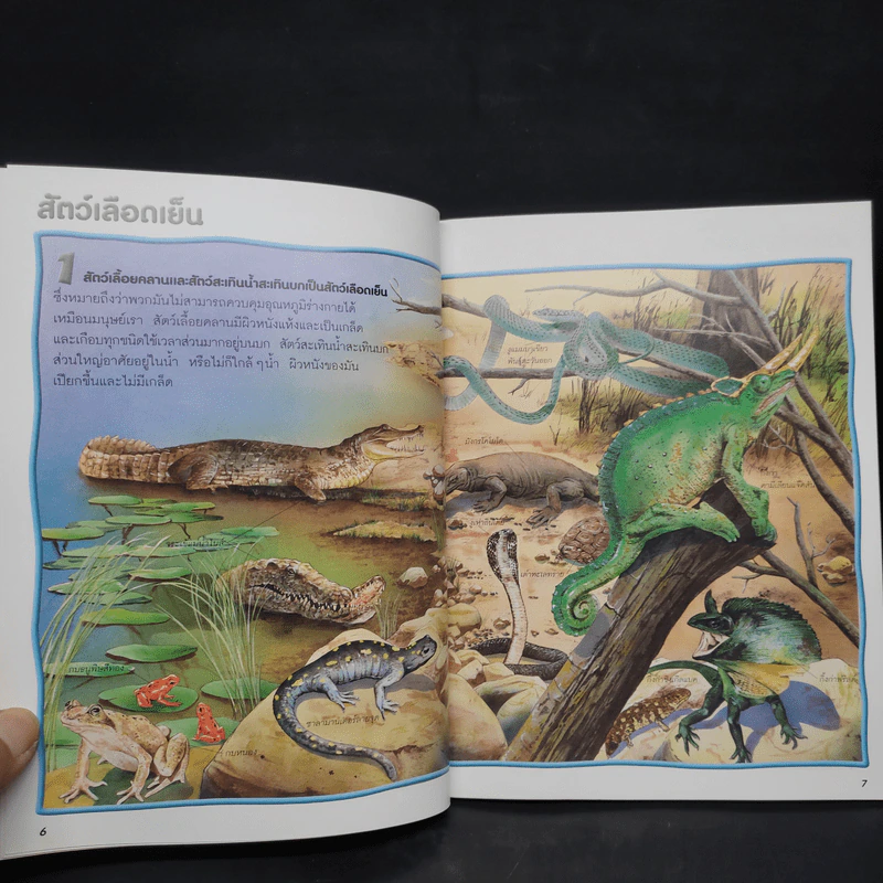 100 เรื่องน่ารู้เกี่ยวกับสัตว์เลื้อยคลานและสัตว์สะเทินน้ำสะเทินบก รูปที่ 6