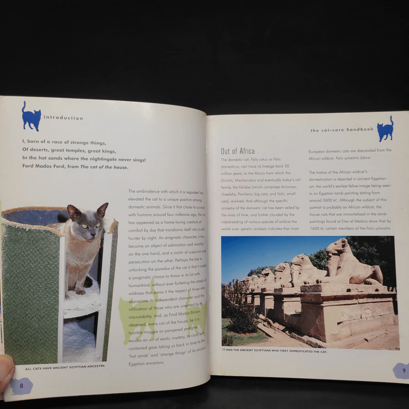 The Cat Care Handbook - Clare Gibson รูปที่ 6