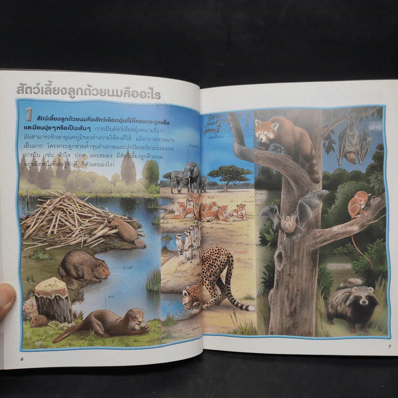 100 เรื่องน่ารู้เกี่ยวกับสัตว์เลี้ยงลูกด้วยนม รูปที่ 6
