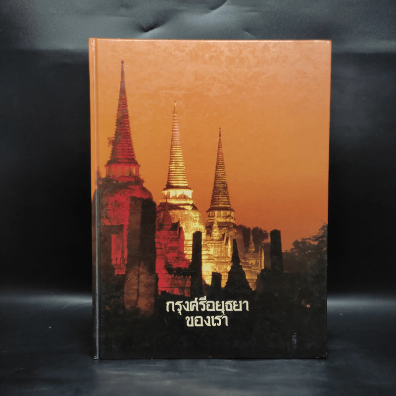 กรุงศรีอยุธยาของเรา - ศรีศักร วัลลิโภดม รูปที่ 1