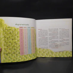 พื้นฐานการถักนิตติ้ง Knitting Basics รูปที่ 5