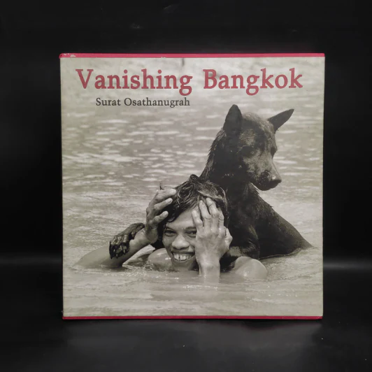 Vanishing Bangkok - Surat Osatanugrah รูปที่ 1