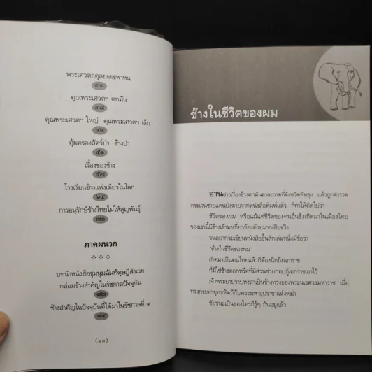 ช้างในชีวิตของผม - ม.ร.ว.คึกฤทธิ์ ปราโมช รูปที่ 7