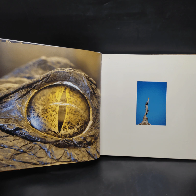 NHM Top 100 รูปที่ 5