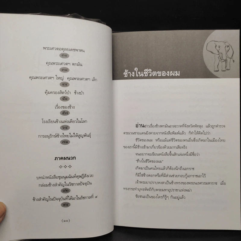 ช้างในชีวิตของผม - ม.ร.ว.คึกฤทธิ์ ปราโมช รูปที่ 7