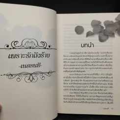 เพราะรักถึงร้าย - เนตรนที รูปที่ 6