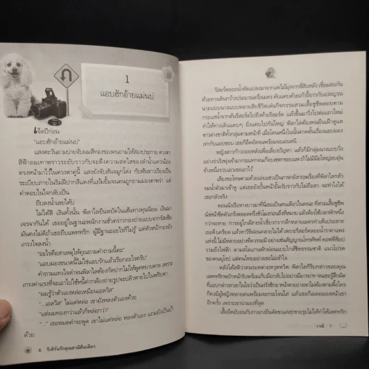 รีเทิร์นรักคุณสามีคืนเดียว - วาณี รูปที่ 6