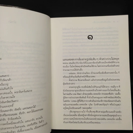 เพลงรักริมขอบฟ้า - ดวงตะวัน รูปที่ 6