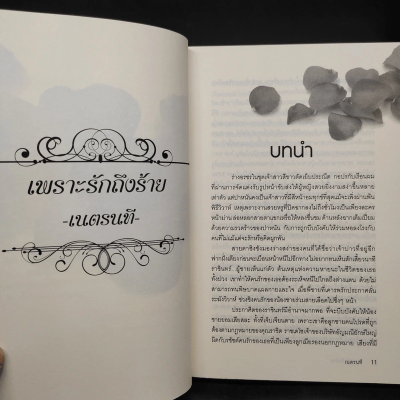 เพราะรักถึงร้าย - เนตรนที รูปที่ 6