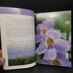 คู่มือคนรักต้นไม้ ดอกไม้สีม่วง - สุปรียา จันทะเหลา รูปที่ 6
