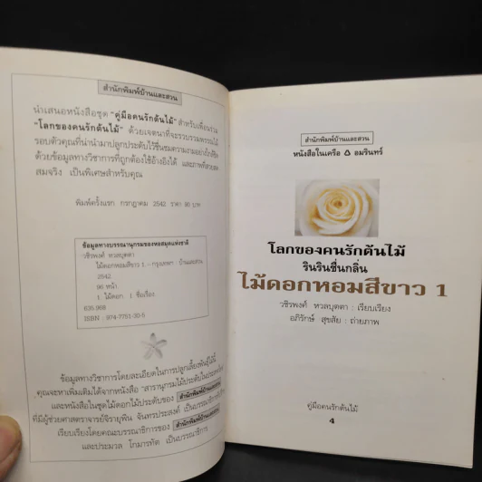 คู่มือคนรักต้นไม้ ไม้ดอกหอม สีขาว 1 - วชิรพงศ์ หวลบุตตา รูปที่ 5