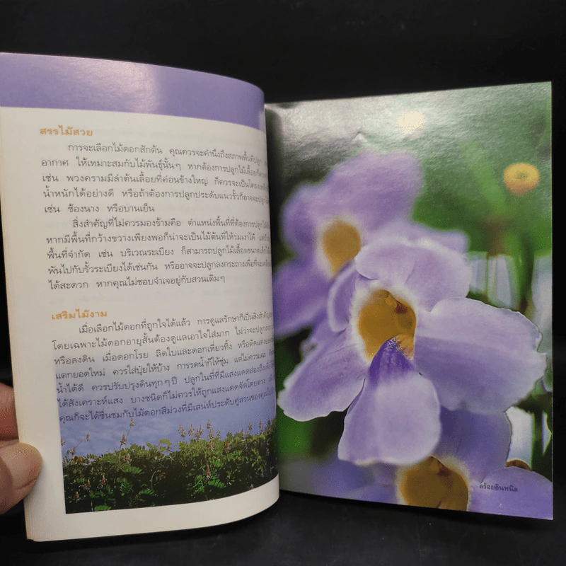 คู่มือคนรักต้นไม้ ดอกไม้สีม่วง - สุปรียา จันทะเหลา รูปที่ 6
