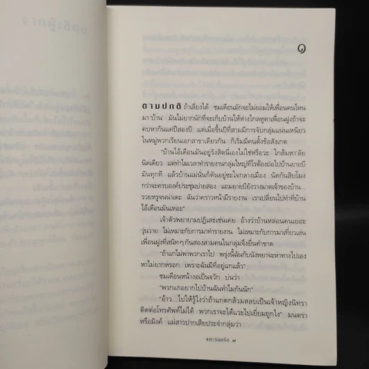 แกะรอยรัก - กิ่งฉัตร รูปที่ 6