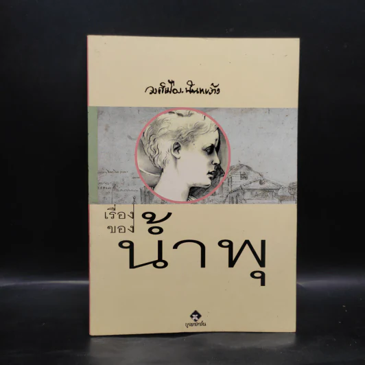 เรื่องของน้ำพุ - วงศ์เมือง นันทขว้าง รูปที่ 1