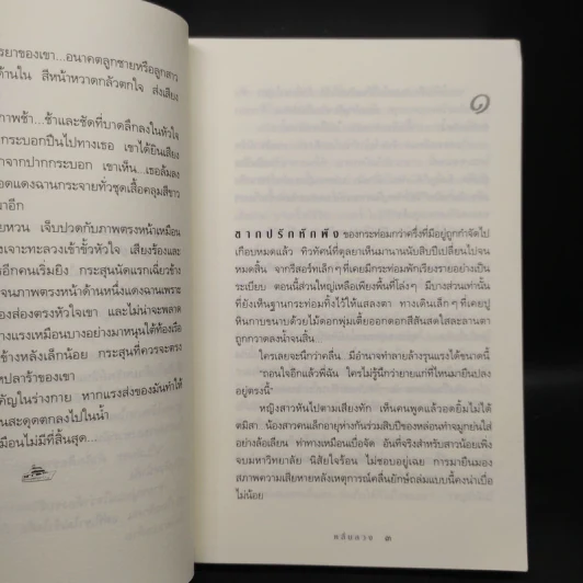 คลื่นลวง - กิ่งฉัตร รูปที่ 6