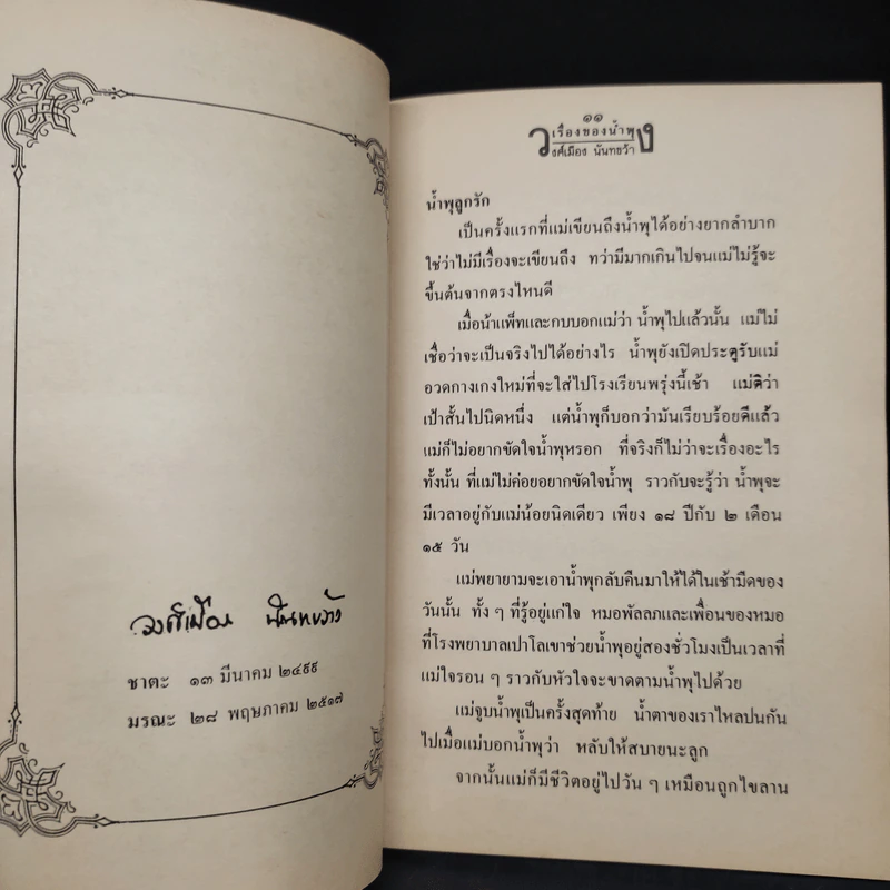 เรื่องของน้ำพุ - วงศ์เมือง นันทขว้าง รูปที่ 6