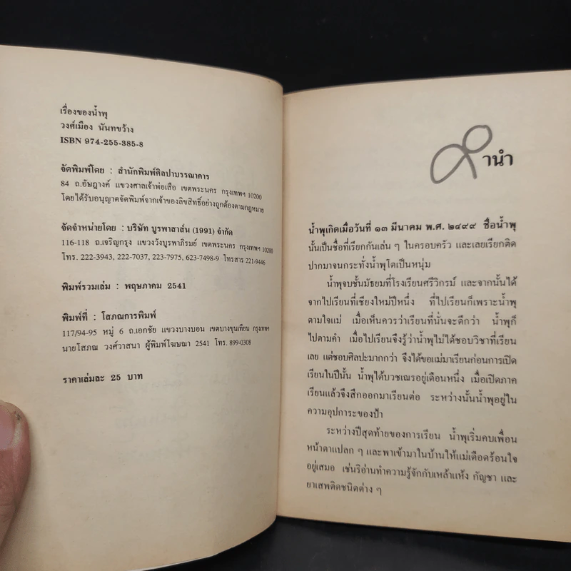 เรื่องของน้ำพุ - วงศ์เมือง นันทขว้าง รูปที่ 5