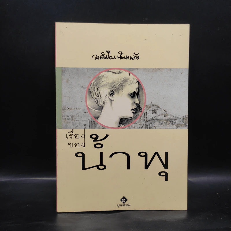 เรื่องของน้ำพุ - วงศ์เมือง นันทขว้าง รูปที่ 1
