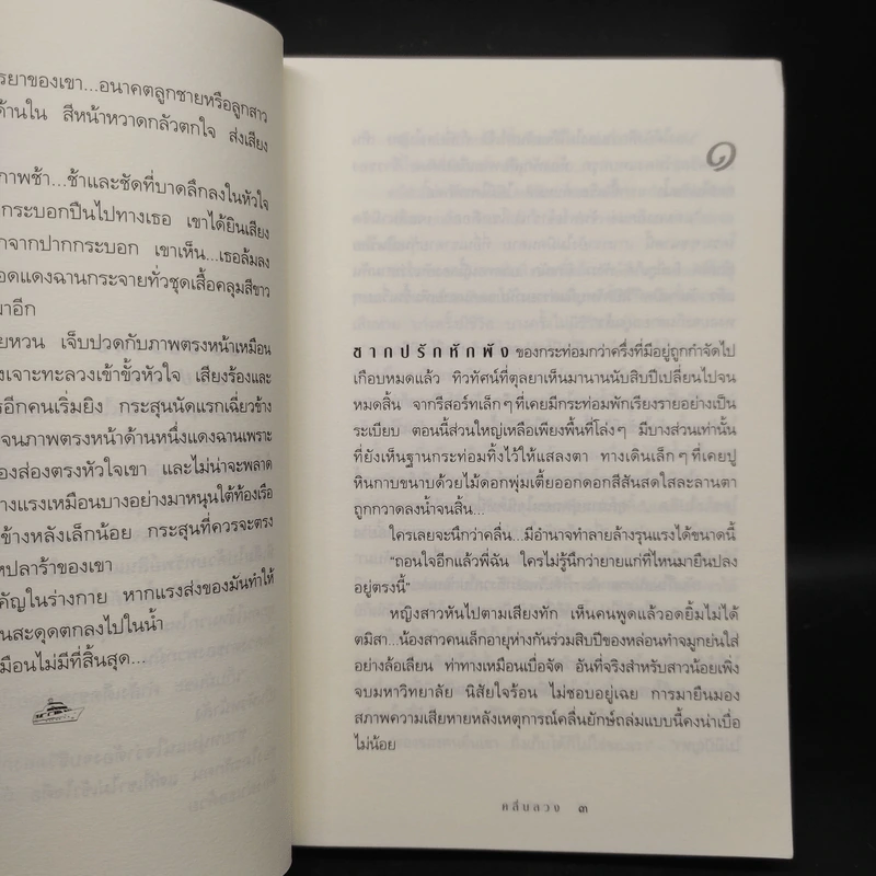 คลื่นลวง - กิ่งฉัตร รูปที่ 6