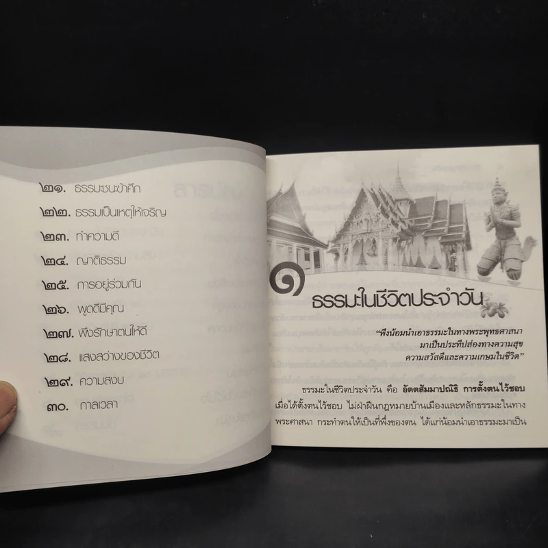 ธรรมะ เปลี่ยนชีวิตใหม่ใน 30 วัน ฉบับสะพานบุญ เพื่อความเจริญรุ่งเรืองในชีวิต - พระเทพคุณาภรณ์ รูปที่ 6