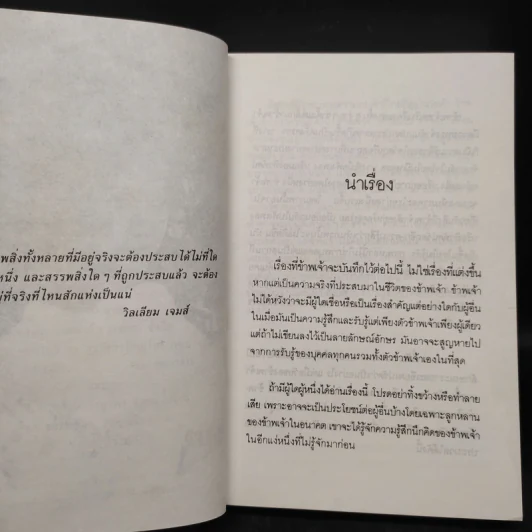 นางทิพย์ - แก้วเก้า รูปที่ 6