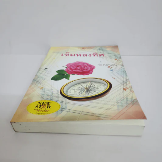 เข็มหลงทิศ - ก่องปิลันธน์ รูปที่ 5