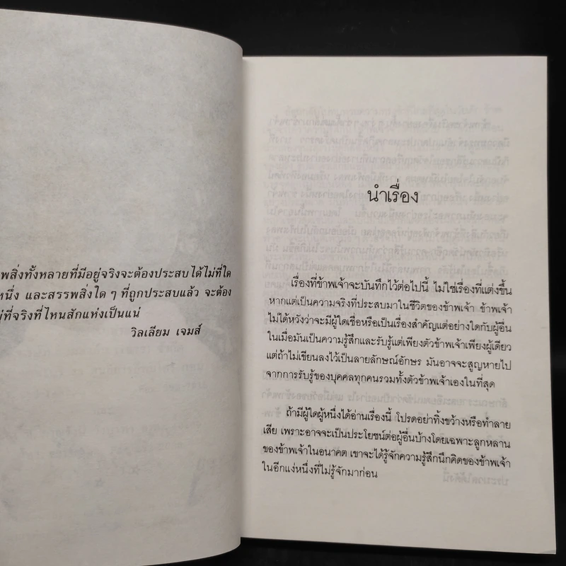 นางทิพย์ - แก้วเก้า รูปที่ 6