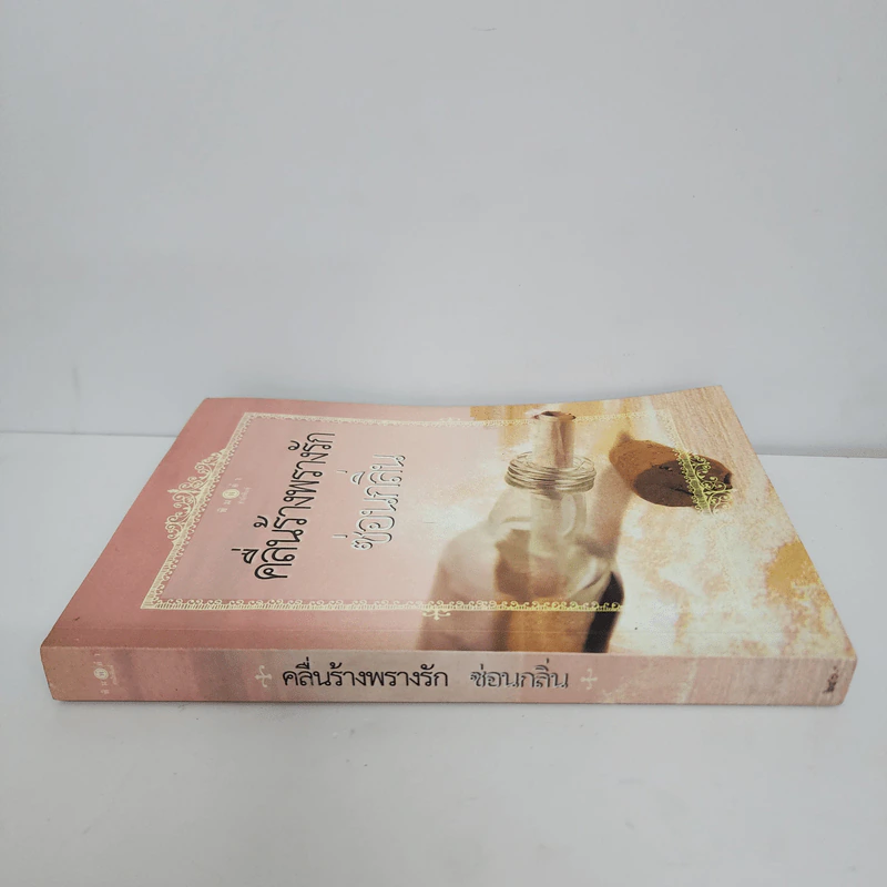 คลื่นร้างพรางรัก - ซ่อนกลิ่น รูปที่ 2
