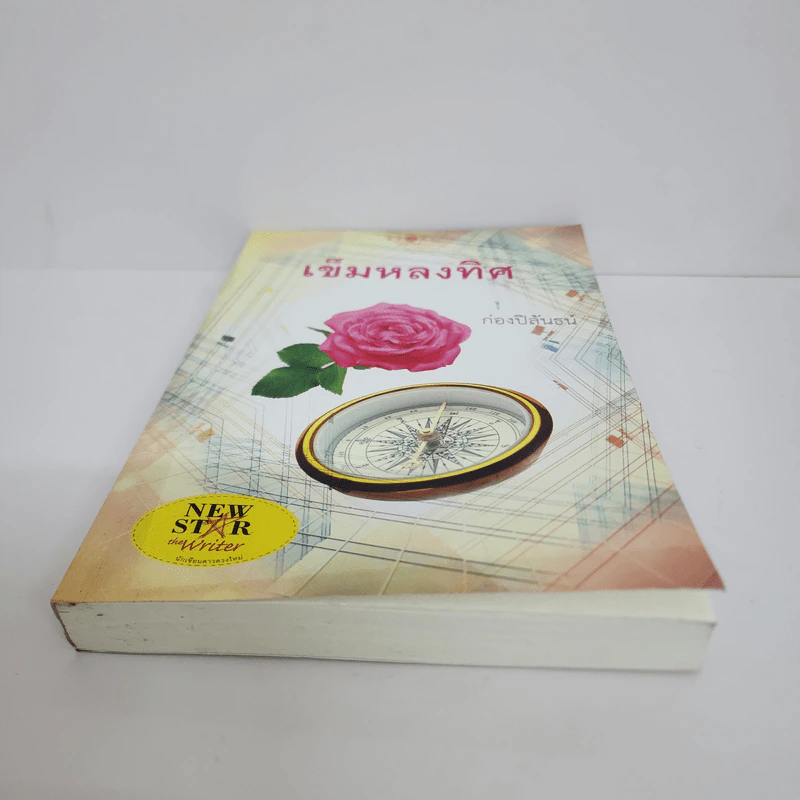 เข็มหลงทิศ - ก่องปิลันธน์ รูปที่ 5