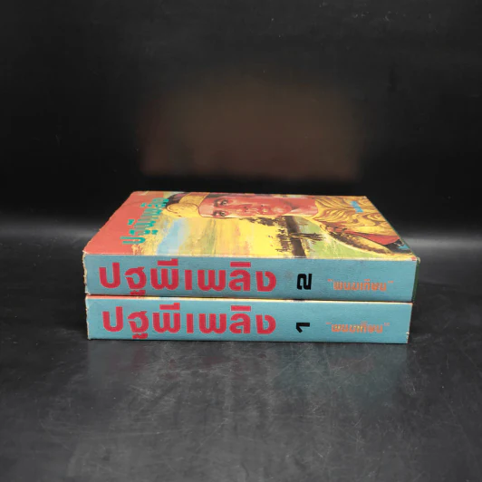 ปฐพีเพลิง 2 เล่มจบ - พนมเทียน รูปที่ 3