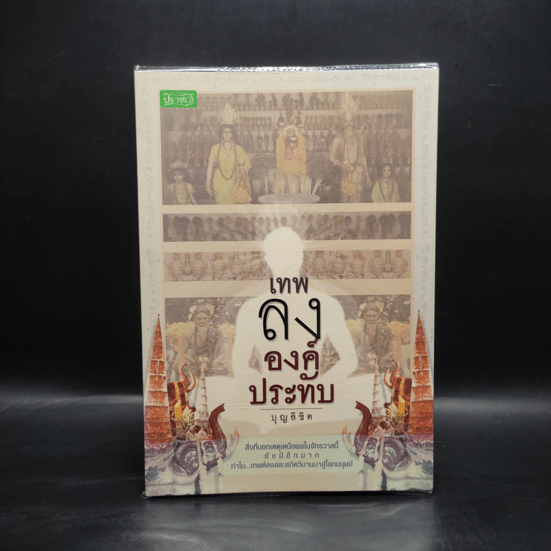 เทพลงองค์ประทับ - บุญลิขิต รูปที่ 1