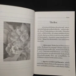 คู่มือการปลูกเลี้ยง โป๊ยเซียน - ประเสริฐ ศิริบุญเรือง รูปที่ 6