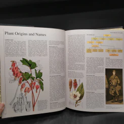 GARDENERS' ENCYCLOPEDIA OF PLANTS AND FLOWERS รูปที่ 7