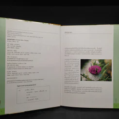 พฤกษศาสตร์ Essential Atlas of Botany รูปที่ 5